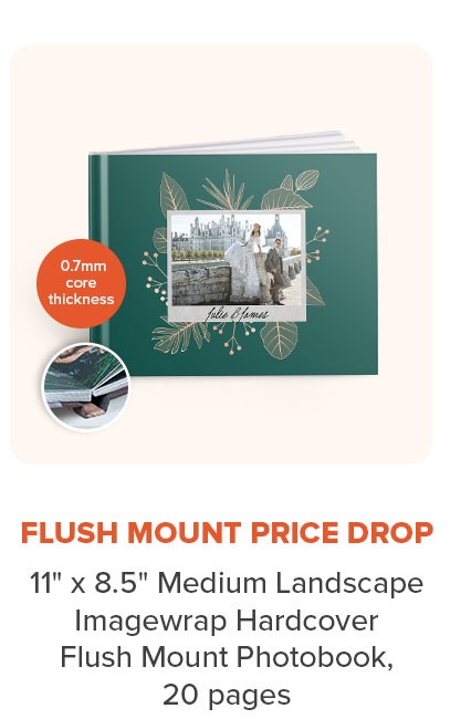 FLUSH MOUNT PRICE DROP